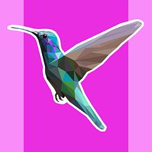 Colibrí . Ilustrasi Vektor proyek oleh Juanma Caro - 09.15.2021