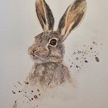 My project in Expressive Animal Portraits in Watercolor course. Traditional illustration, Watercolor Painting, Realistic Drawing, and Naturalistic Illustration project by hmaria68 - 09.15.2021