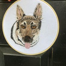 My project in Needle Painting for Beginners course Levi. Embroider project by Deborah Potter - 09.10.2021