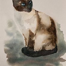 paint the siamese cat using a limited color palette "Sarah Stokes" Ein Projekt aus dem Bereich Aquarellmalerei von Björn Olfenius - 16.09.2021