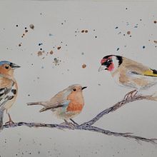 My project in Artistic Watercolor Techniques for Illustrating Birds course. Een project van Traditionele illustratie, Aquarelschilderen, Realistische tekening y Naturalistische illustratie van beckamcmanus - 17.09.2021