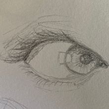 Pencil sketches. Drawing project by Magdalena W - 09.17.2021