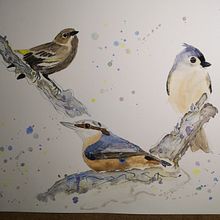 Mi Proyecto del curso: Acuarela artística para ilustración de aves. Un progetto di Illustrazione tradizionale, Pittura ad acquerello, Disegno realistico e Illustrazione naturalistica di Elisabeth - 17.09.2021