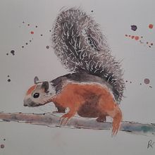 Bunthörnchen Costa Rica. Un proyecto de Bellas Artes de Petra Köster - 17.09.2021