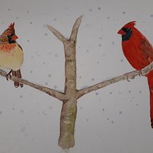 Cardinals in winter. Traditional illustration project by jutta_atkinson - 09.17.2021