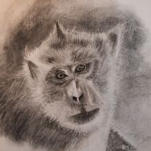 Makake Bali. Un proyecto de Dibujo de Petra Köster - 17.09.2021