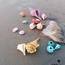 Crochet shells and corals. Een project van Craft van Marianne Seiman - 18.09.2021