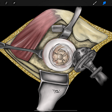 Mi Proyecto del curso: Pintura e ilustración realista con Procreate. Traditional illustration, Fine Arts, Drawing, Digital Illustration, Realistic Drawing, and Digital Painting project by dsvillena - 09.18.2021