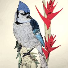Mi Proyecto del curso: Ilustración naturalista con bolígrafo. Traditional illustration, Drawing, Realistic Drawing, and Naturalistic Illustration project by Luis Alejandro Robayo León - 09.18.2021