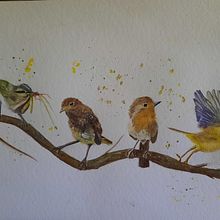 Multiple Birds on a Branch- Final Project- Sarah Stokes Comprehensive Watercolor Course. Watercolor Painting project by Donna Paulson - 09.18.2021