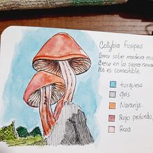 Mi Proyecto del curso: Cuaderno botánico en acuarela. Traditional illustration, Watercolor Painting, Botanical Illustration, and Sketchbook project by Lina Maria Muñoz Torres - 09.18.2021