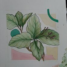 Mi Proyecto del curso: Sketchbook botánico: una aproximación meditativa. Traditional illustration, Sketching, Drawing, Watercolor Painting, Botanical Illustration, and Sketchbook project by Carla Antar - 09.19.2021