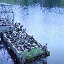 Mi Proyecto del curso: Filmación para principiantes. Un proyecto de Cine, vídeo, televisión, Cine y Realización audiovisual de Clara García Reig - 19.09.2021