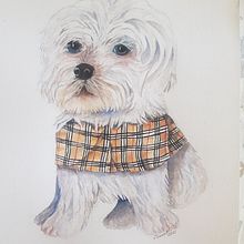 My project in Expressive Animal Portraits in Watercolor course. Traditional illustration, Watercolor Painting, Realistic Drawing, and Naturalistic Illustration project by Jenny Foreman - 09.20.2021