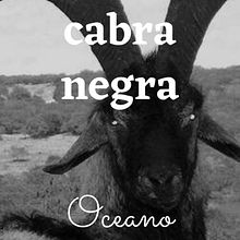 O Voo Da Cabra Negra . % Oceano Albuquerque tarafından hazırlanan Yazma projesi - 09.20.2021