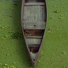 Old Boat in a Pond. Photograph, and Photo Retouching project by Jonathan Salvacion - 09.16.2021