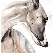 Galgo - Tecniche sperimentali di acquerello per principianti. Traditional illustration, Fine Arts, Watercolor Painting, and Naturalistic Illustration project by cri & ste - 09.19.2021