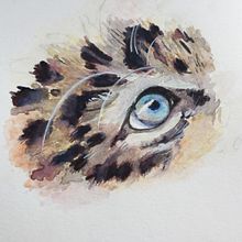 My Project: Leopard cub's eye. Projekt z dziedziny Trad, c i jna ilustracja użytkownika Helen Russell - 19.09.2021