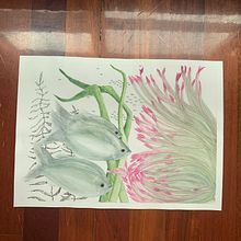 Mi Proyecto del curso: Ilustración de universos marinos en acuarela. Un projet de Illustration traditionnelle, Peinture, Aquarelle et Illustration naturaliste de marmy616 - 20.09.2021