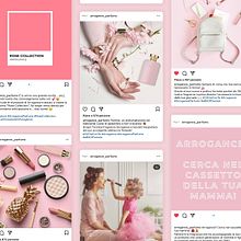 Arrogance Parfums. Social Media, Br, ing, Identit & Instagram project by Federica Fasoli - 09.20.2021