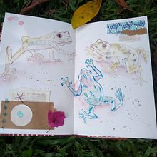 Mi Proyecto del curso: Ilustración de animales: dibuja la vida salvaje en tu sketchbook. Traditional illustration, Collage, Sketchbook, and Naturalistic Illustration project by Ana Karina Moreno - 09.20.2021