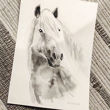 My project in Expressive Animal Portraits in Watercolor course. Projekt z dziedziny Trad, c, jna ilustracja, Malowanie akwarelą, R, sunek realist, czn, Ilustracja naturalist i czna użytkownika caramba4u - 20.09.2021