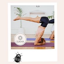 Sukha - Programa de Mentoría (7 horas) realizada por The Curious Beetle. Marketing, Social Media, Digital Marketing, Instagram Marketing, Br, ing, Identit, Stor, telling, Instagram, and Content Marketing project by Julieta Tello - 09.20.2021