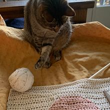 Mi Proyecto del curso: Intarsia crochet: teje tus propios tapices. Un proyecto de Decoración de interiores, Tejido, DIY y Crochet de Sabrina Bortoloso - 20.09.2021