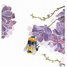 Nature Close Up Ein Projekt aus dem Bereich Aquarellmalerei, Traditionelle Illustration und Malerei von Bella Rech - 20.09.2021