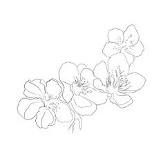 Mi Proyecto del curso: Diseño de tatuajes botánicos con Procreate . % Pamela Maldonado tarafından hazırlanan Geleneksel illüstras, on, Dijital İllüstras, on, Dövme Tasarımı, Botanik İllüstras, Ve on projesi - 09.21.2021