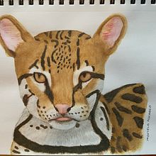 Mi Proyecto del curso: Ilustración científica de animales en acuarela. Un proyecto de Ilustración tradicional, Pintura a la acuarela, Dibujo realista e Ilustración naturalista				 de Marcela Pacheco Weber - 21.09.2021