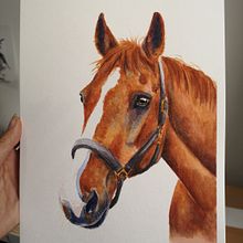 My project in Expressive Animal Portraits in Watercolor course. Projekt z dziedziny Trad, c, jna ilustracja, Malowanie akwarelą, R, sunek realist, czn, Ilustracja naturalist i czna użytkownika emilybriggsart - 21.09.2021