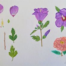 Flores. Een project van Traditionele illustratie van Jon Bickel - 21.09.2021