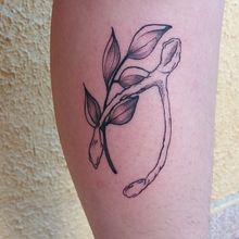 Furcula sorte tattoo. Un progetto di Design di Bruna Fernanda do Nascimento - 23.05.2021