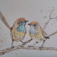 My project in Artistic Watercolor Techniques for Illustrating Birds course. Watercolor Painting, Realistic Drawing, and Naturalistic Illustration project by jmathews5 - 09.20.2021