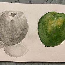 My project in Botanical Watercolor Sketchbook course. Un proyecto de Ilustración tradicional, Pintura a la acuarela, Ilustración botánica y Sketchbook de Sara Ray - 22.09.2021
