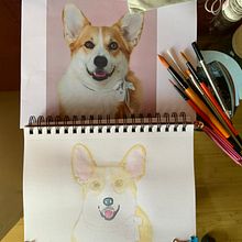 Mi Proyecto del curso: Retratos expresivos de animales en acuarela. Un proyecto de Ilustración tradicional, Pintura a la acuarela, Dibujo realista e Ilustración naturalista				 de Marcela Pacheco Weber - 23.09.2021