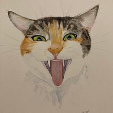 My project in Expressive Animal Portraits in Watercolor course. Projekt z dziedziny Trad, c, jna ilustracja, Malowanie akwarelą, R, sunek realist, czn, Ilustracja naturalist i czna użytkownika madarahudson - 23.09.2021
