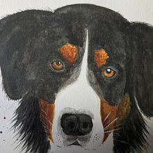 Mi Proyecto del curso: Retratos expresivos de animales en acuarela. Traditional illustration, Watercolor Painting, Realistic Drawing, and Naturalistic Illustration project by Elizabeth Posada - 09.16.2021