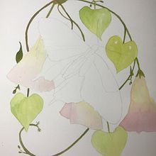 My project in Naturalist Illustrations with Watercolors: Drawing and Composition course. Traditional illustration, Drawing, Watercolor Painting, and Naturalistic Illustration project by Lise Vézina - 09.23.2021