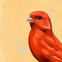 bird motif. Digital Illustration, Portrait Drawing, and Digital Painting project by andreh cimoins - 09.25.2021