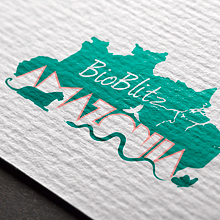BioBlitz Amazônia, 2019. Traditional illustration, and Graphic Design project by Norberto Ferreira - 08.18.2019