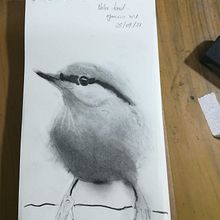 Mi Proyecto del curso: Acuarela artística para ilustración de aves. Traditional illustration, Watercolor Painting, Realistic Drawing, and Naturalistic Illustration project by Natalia IG - 09.27.2021