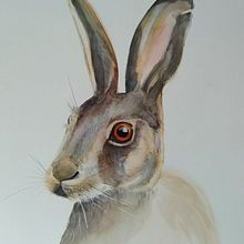 My project in Experimental Watercolor Techniques for Beginners course. Projekt z dziedziny Trad, c, jna ilustracja,  Sztuki piękne, Malowanie akwarelą, Ilustracja naturalist i czna użytkownika ankabungert - 27.09.2021