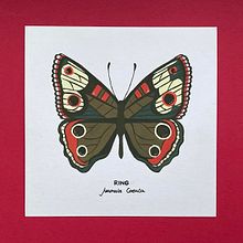 Ilustración de Mariposas con acrílico. Un proyecto de Ilustración tradicional, Bellas Artes, Pintura, Dibujo, Pintura acrílica e Ilustración botánica de Eva Ramon Vilà - 27.09.2021