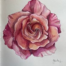 Rose. Un progetto di Illustrazione botanica di Gabriela - 27.09.2021