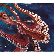 Meerwesen. Un progetto di Illustrazione tradizionale di marion.hoepken - 28.09.2021