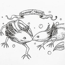 My project in Blackwork Tattoo Design course . % Nelli Hissant tarafından hazırlanan Dövme Tasarımı, Geleneksel illüstras, Ve on projesi - 09.27.2021