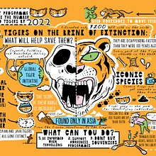 Smithsonian - Scribing Ein Projekt aus dem Bereich Traditionelle Illustration, Informationsdesign und Infografik von Scriberia - 29.09.2021