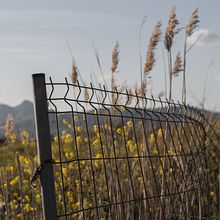 Hundimiento inminente.. Photograph, Architecture, Digital Photograph, Architectural Photograph, Outdoor Photograph & Interior Photograph project by Toribio López - 04.15.2017